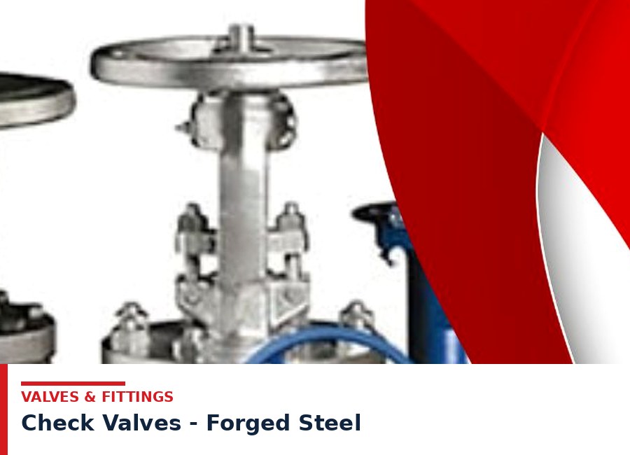 Check Valves - Forged Steel