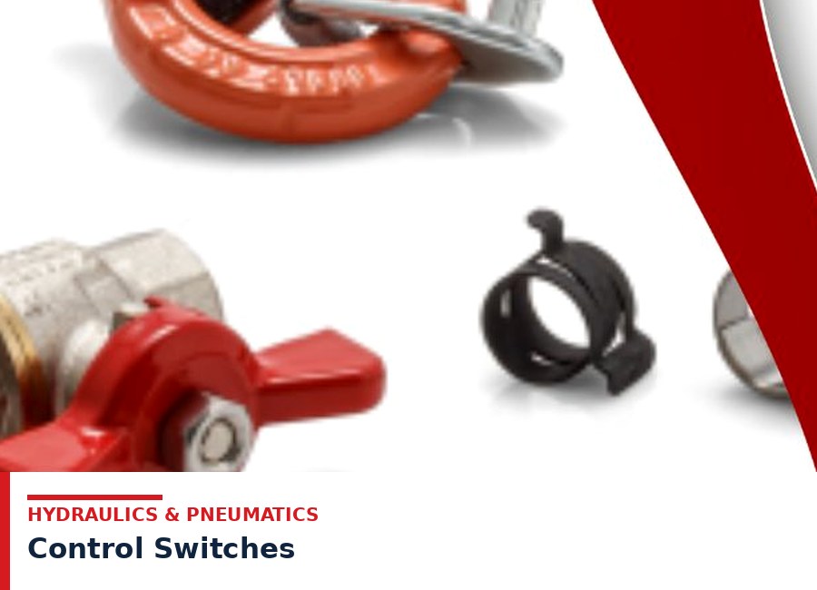 Control Switches